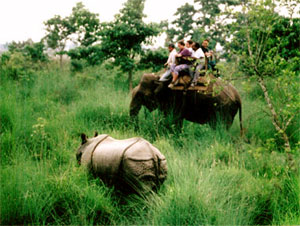 Jungle Safari  in Napal, Chitwan Nation Park